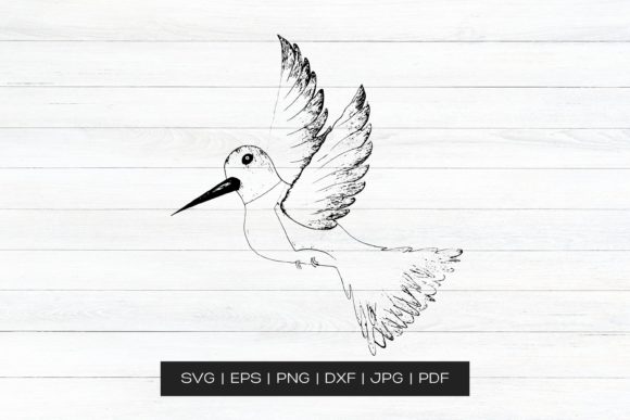 Hand Drawn Vector Bird: Graphics and Crafts in One