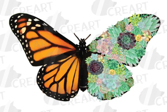 Succulent Garden Monarch Butterfly Decor Graphics